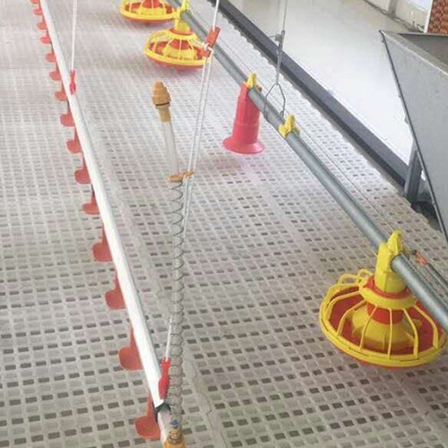 Chicken 15 Nipples/3m Automatic Drinker Cup System