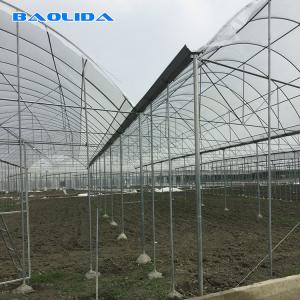  Multispan Plastic Film Greenhouse With Drip Irrigation System Plant Nursery Grow Tent Manufactures
