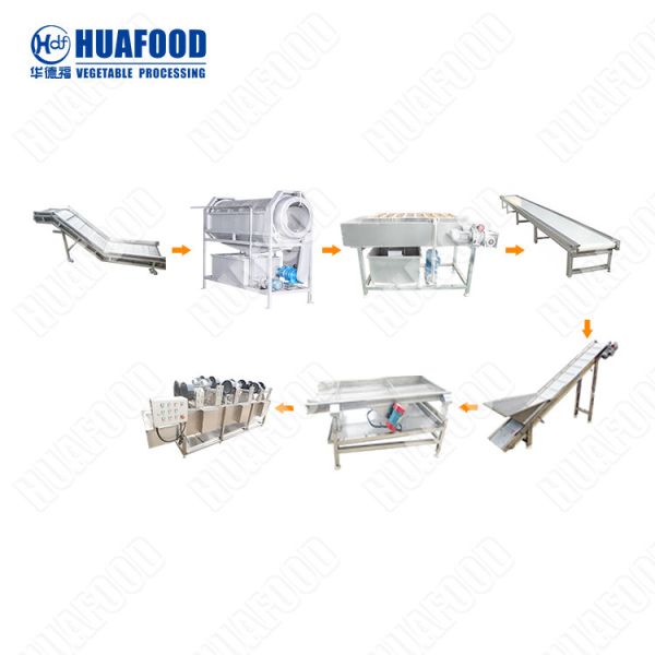 Fruit Vegetable Washing Line Bubble Sugar Beet Cleaning Pumpkin Grape Washer