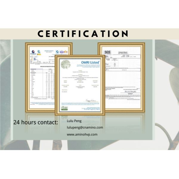 Agricultural Organic Nitrogen Liquid Fertilizer Amino Acid Chelate Zinc Liquid