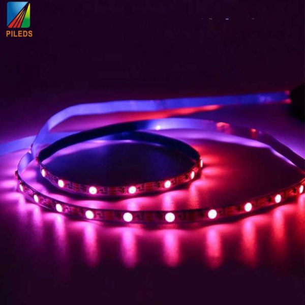 5mm Sk6812 SMD LED Flexible Strips 5050 IP65 IP67 For Decoration