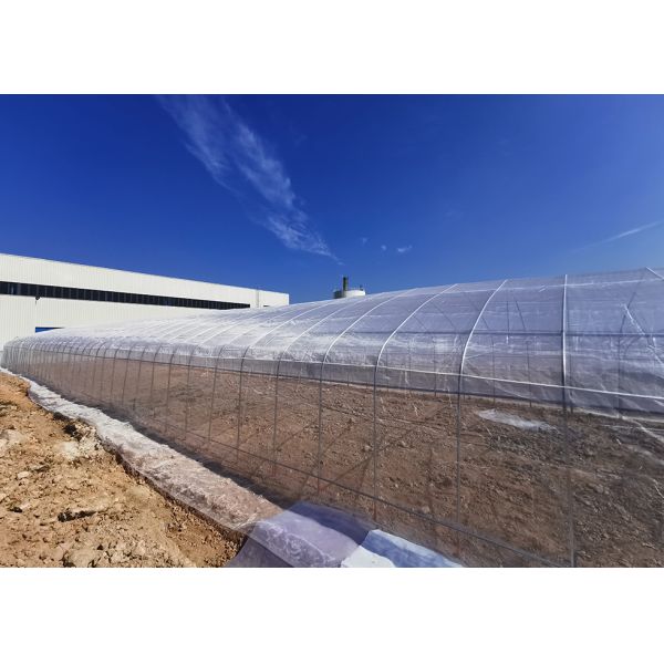 8x6 Value Greenhouse Weatherproof UV-Resistant for Commercial & Home Gardening
