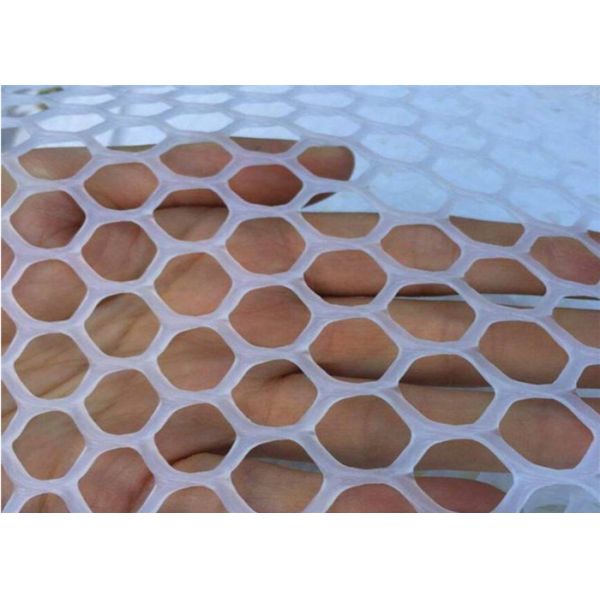 Green Flat 10X10mm Hdpe Plastic Netting Mesh In Breed Fishing