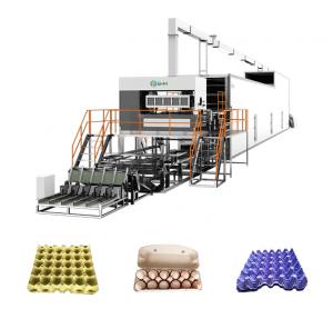 China Cardboard Fruit Tray Making Machine High Speed Molded Fiber Production Line on sale