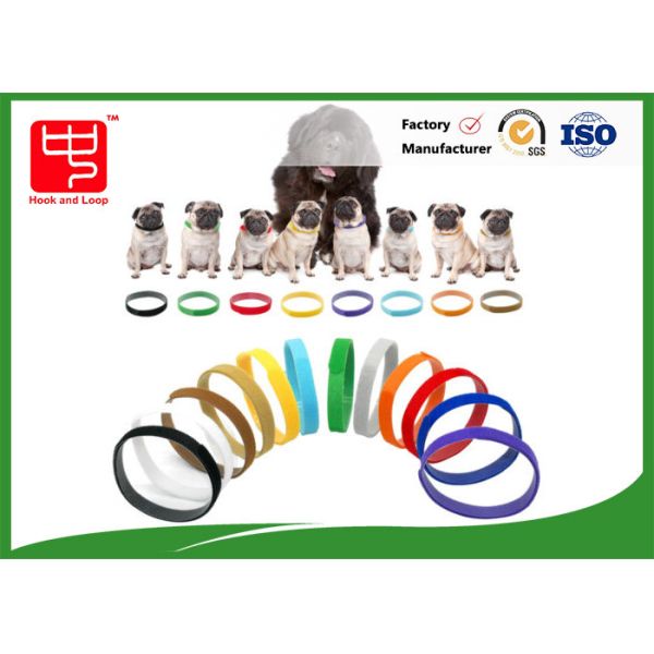 Puppy Id Collars Thin Hook And Loop Straps For Dog Pet , Color Distinguish