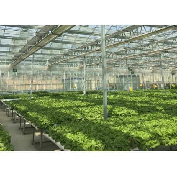 Sightseeing Venlo Glass Greenhouse Custom Shaped Glass Covering Greenhouse