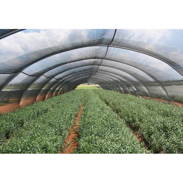 Hdpe Anti UV Greenhouse Roof Shade Netting , Polyethylene Shade Net