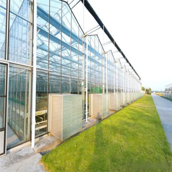 Aluminium Profile Venlo Type Greenhouse Steel Structure For Agricultural Planting