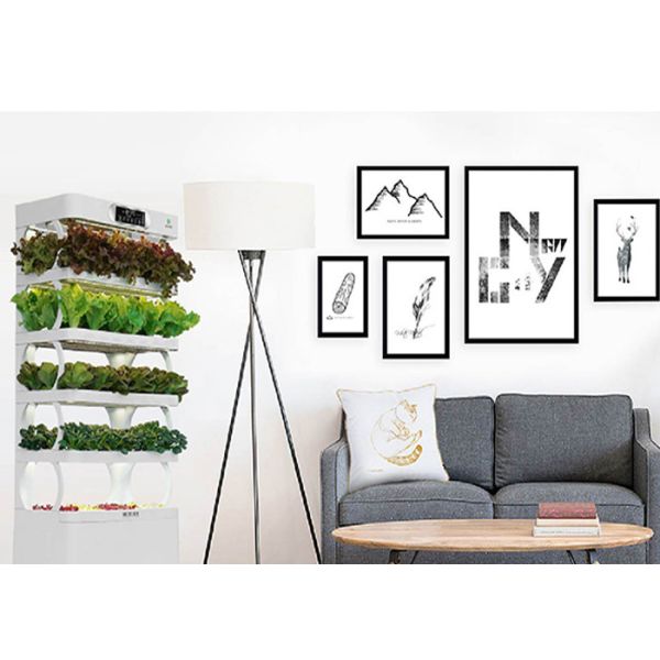 LED Plant Lighting Smart Hydroponics System , Garden Bamboo Indoor Growing Systems