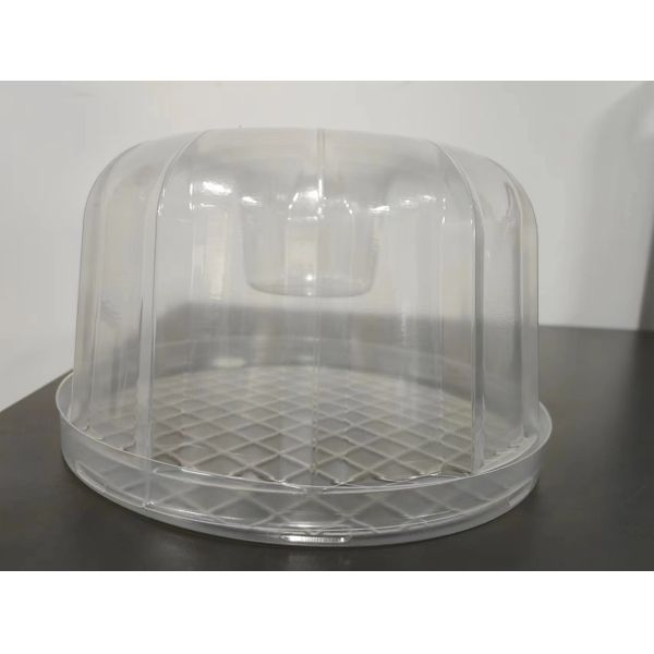 Customized transparent round lid PET vacuum formed plastic cake embryo shaping container