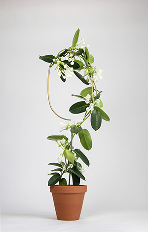 Metal Plant Support Stainless Steel Wire Forming Bright Surface For Potted Plants