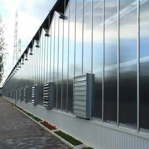 Polycarbonate Venlo Greenhouse for Tomato Substrate Culture