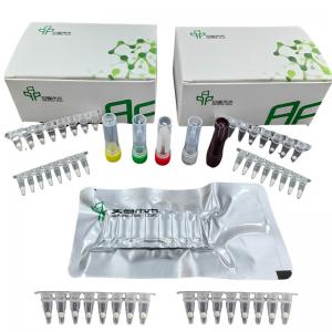  EXO H Pylori Detection Kit With Isothermal Fluorescence Detector Manufactures