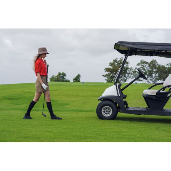 12v 48v 100ah Lifepo4 Battery Pack Golf Cart Safe Powerful Easy Plug And Play