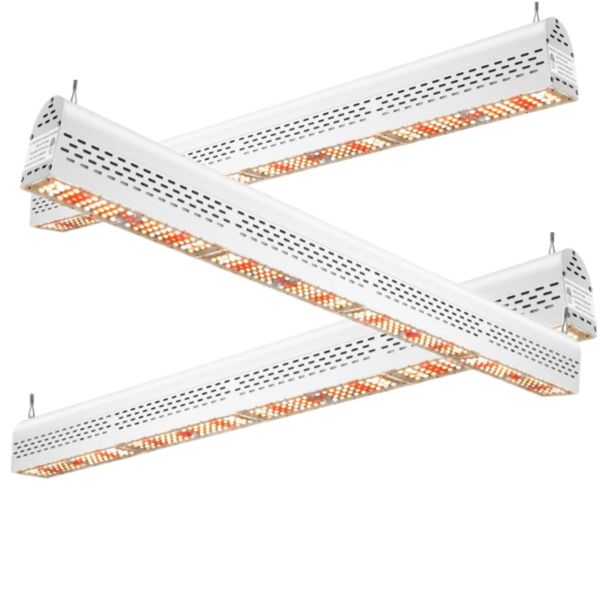 ETL IP67 300W Top Led Herb Grow Light , LED Grow Lamps For Indoor Plants