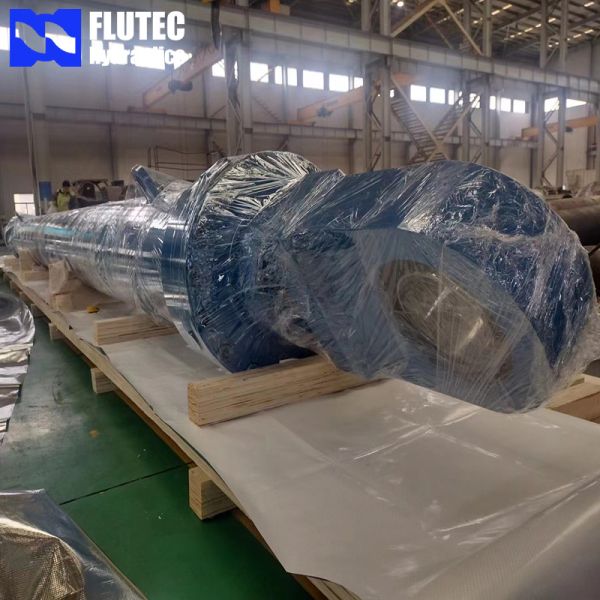 Self Developed Design Luffing Cylinder For Statcker Relcaimer Double Acting Normal Temperature