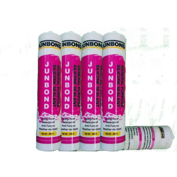 General Purpose 300ml Neutral Cure Sealant Aluminium Windows CGS