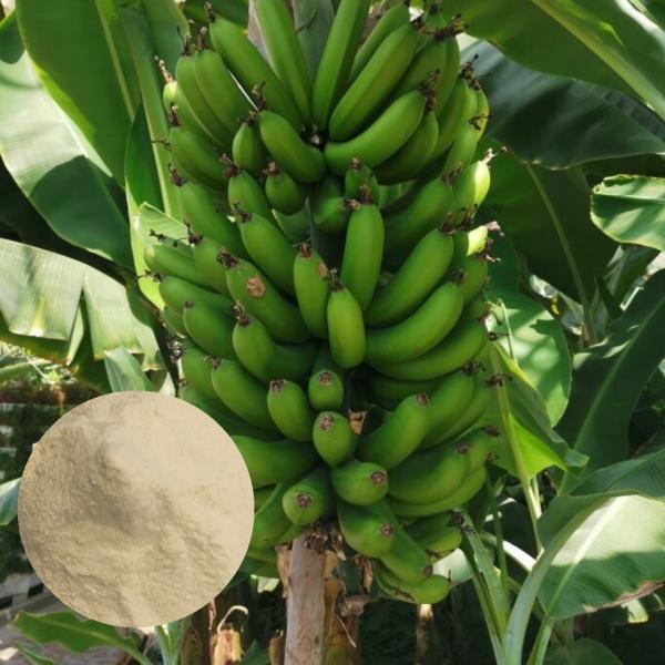 Chelated Ca Mg Water Soluble Amino Acid Organic Fertilizer For Banana