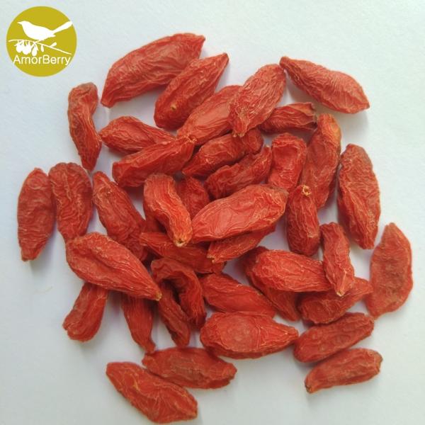 Amorberry Dried Goji Berry Manufacturer Medlar Chinese Tibet wolfberry wholesale with high quantity