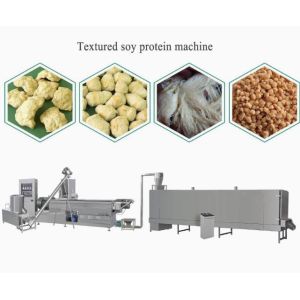 vegetarian indian food