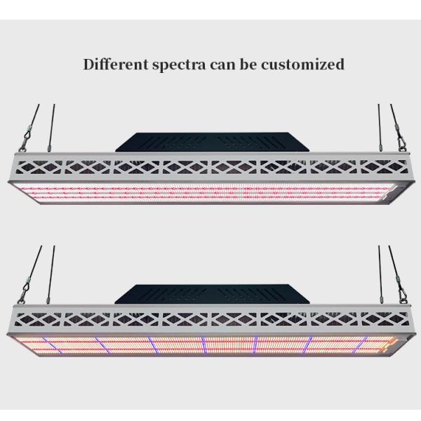 640W Top LED Grow Lights Full Spectrum Plant Growth Lamp For Greenhouse Seedling Flowering