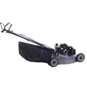 China 1200W Smart Garden Petrol Lawn Mower / 5.5HP Rear Roller Lawn Mowers For Large Lawns on sale