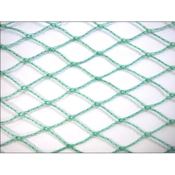 Agricultural Diamond Anti Bird Netting For Protecting Crop And Flower