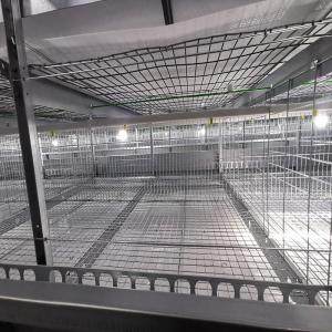  One Day Old Battery Baby Chick Cage 3-4 Tiers For Laying Hens SONCAP listed Manufactures