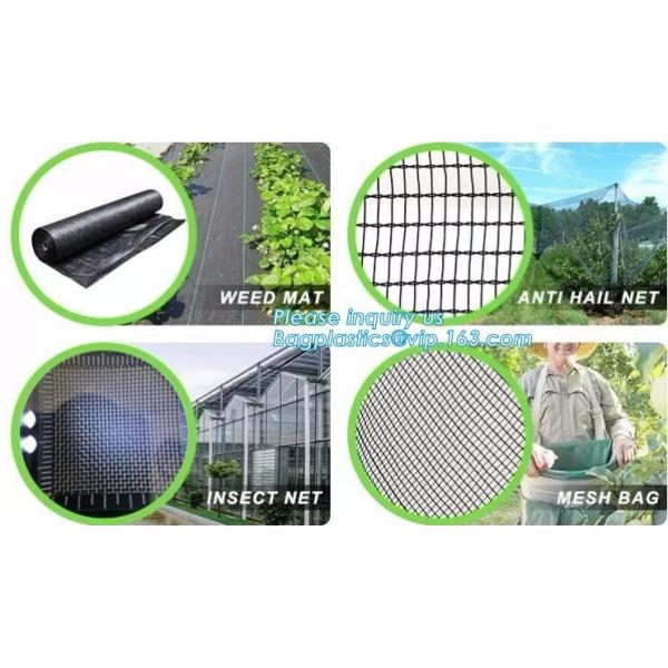 Best-selling product agricultural product fruit fly nets /vegetables anti fly net /greenhouse anti insect net for agricu