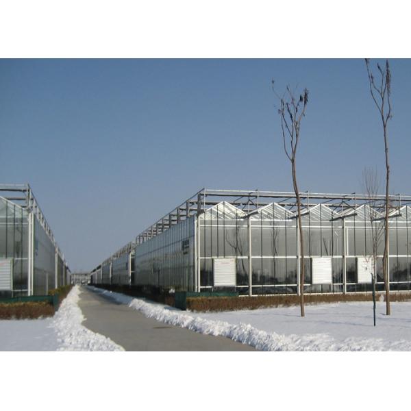 PC Sheet Covered Multi Span Greenhouse Venlo Type Strong Light Transmission