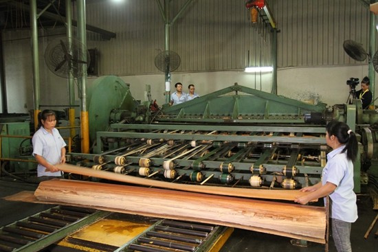 E0 Grade Fancy Plywood Board Customized Figured Plywood Veneer