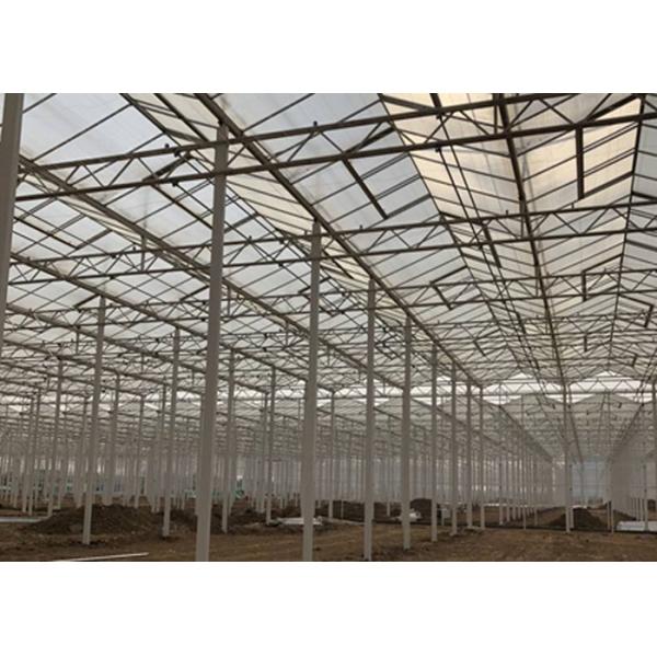 Sided Ventilated Cooling Pad Multi Span Pc Sheet Greenhouse