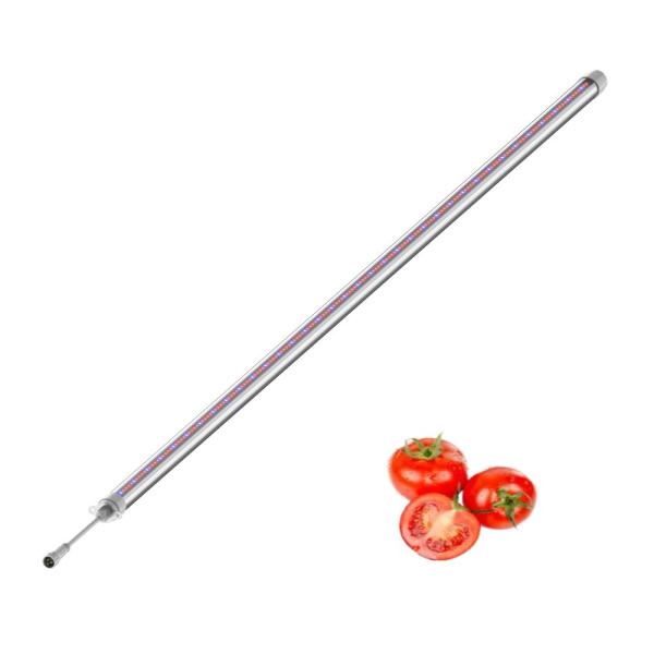 Tomato grow light 50W LED Interlighting IP66 Commercial High Efficiency Greenhouse Grow Lights