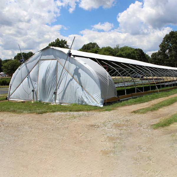Plastic Film Fully Automated Blackout Light Deprivation Greenhouses Prefabricated