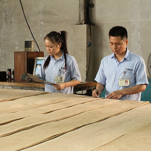 Guangdong Great Forest New Decoration Materials Co.,LTD.