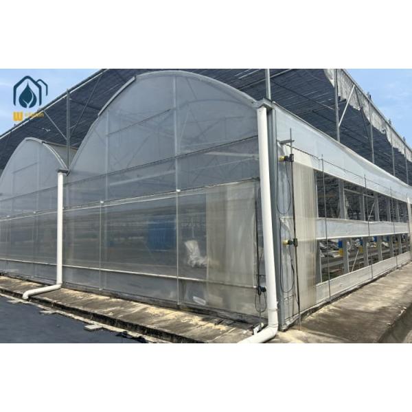 Plastic Multi Span Eco Friendly Greenhouse With Temperature Controlled Growing