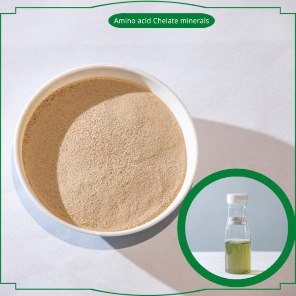 Fe Zn B Cu Mn Organic Amino Acid Chelate Fertilizer 25%Min
