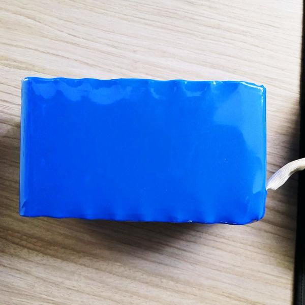 Rechargeable Lithium Ion Lifepo4 48V 20ah 	e bike lifepo4 battery pack