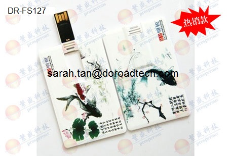 Personalized Printing Plastic Credit Card USB Flash Drives, Customized USB