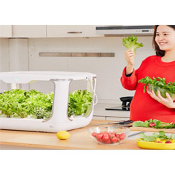 24V 10W Light PVC Kitchen Hydroponic Growing Systems