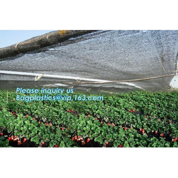 sun shade net,weel contol net,greenhouse film,fibc bag,Cheap Weed Control Fabric/Heavy Duty Weed Mat/Landscape Barriers