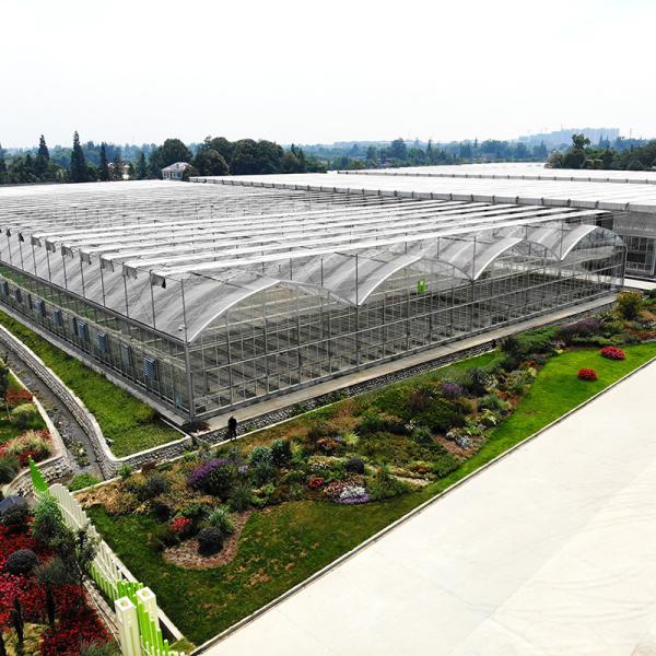 Durable Hot Dip Galvanized Steel Multi-span Plastic Film Agricultural Greenhouse For Fruit