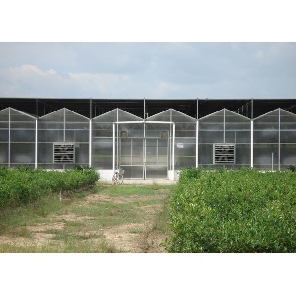 9.6m Tunnel Width Polycarbonate Greenhouse for Sustainable Agricultural Practices