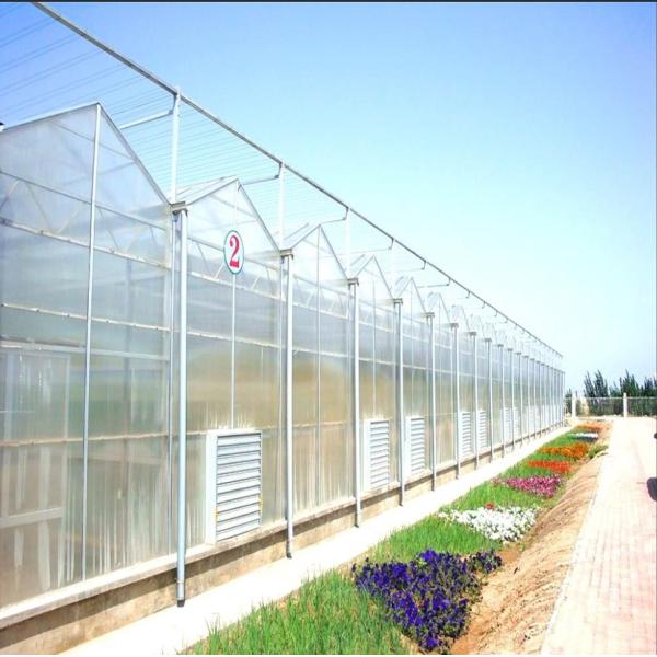 Intelligent Venlo - Type  Aluminum profile customized  polycarbonate  Greenhouse With Shading Systems