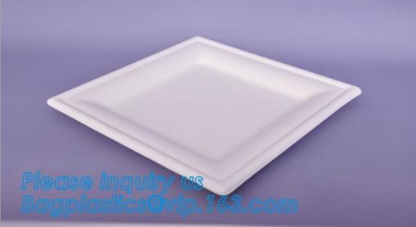 Healthy children tableware corn starch biodegradable PLA bowl,PLA unique clear fruit salad bowl,17oz Eco Disposable PLA