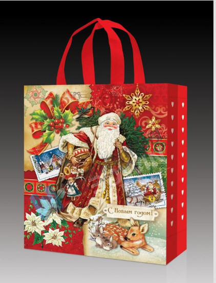 Promotional Custom Christmas Style Non Woven Bag gift Bag Reusable Custom Printing Company Logo