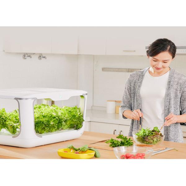 Home Lettuce PP 24V Greenhouses Hydroponic Growing Systems