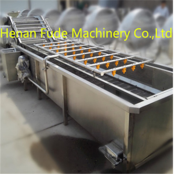 fruit washing machine, strawberry washer, dates cleaning machine
