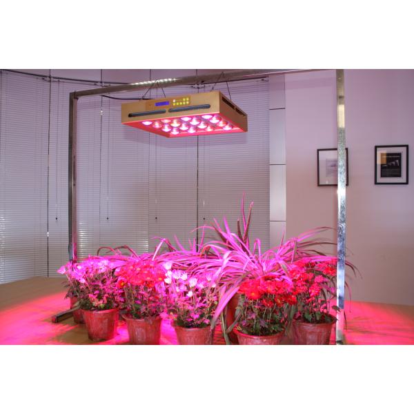 full spectrums 320W led grow lights for hydroponic, greenhouse