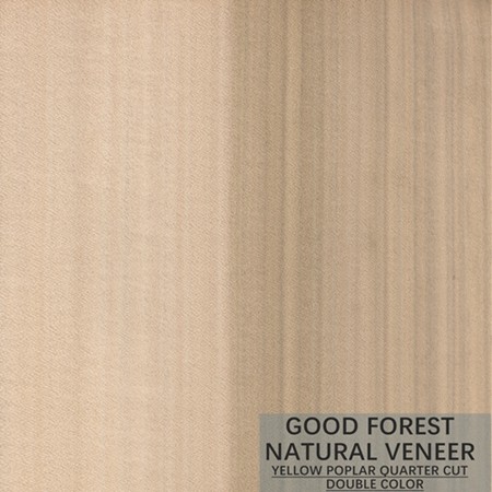 Mappa Tulip Natural Wood Veneer Boxwood Excellent Double Color